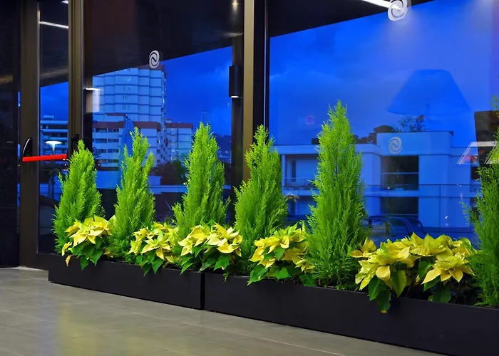 Enotel Magnólia Funchal