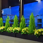 Enotel Magnolia (adults Only) Funchal (Madeira)