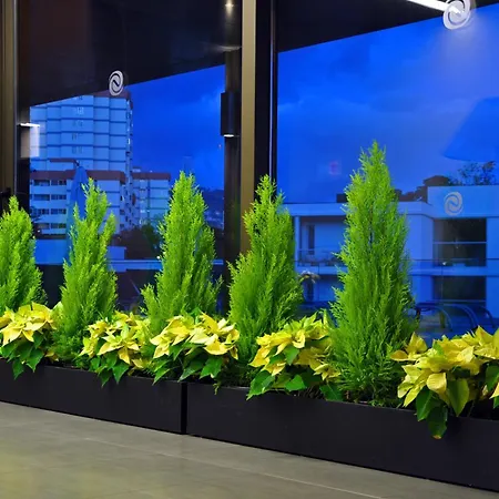 Enotel Magnolia (adults Only) Фуншал